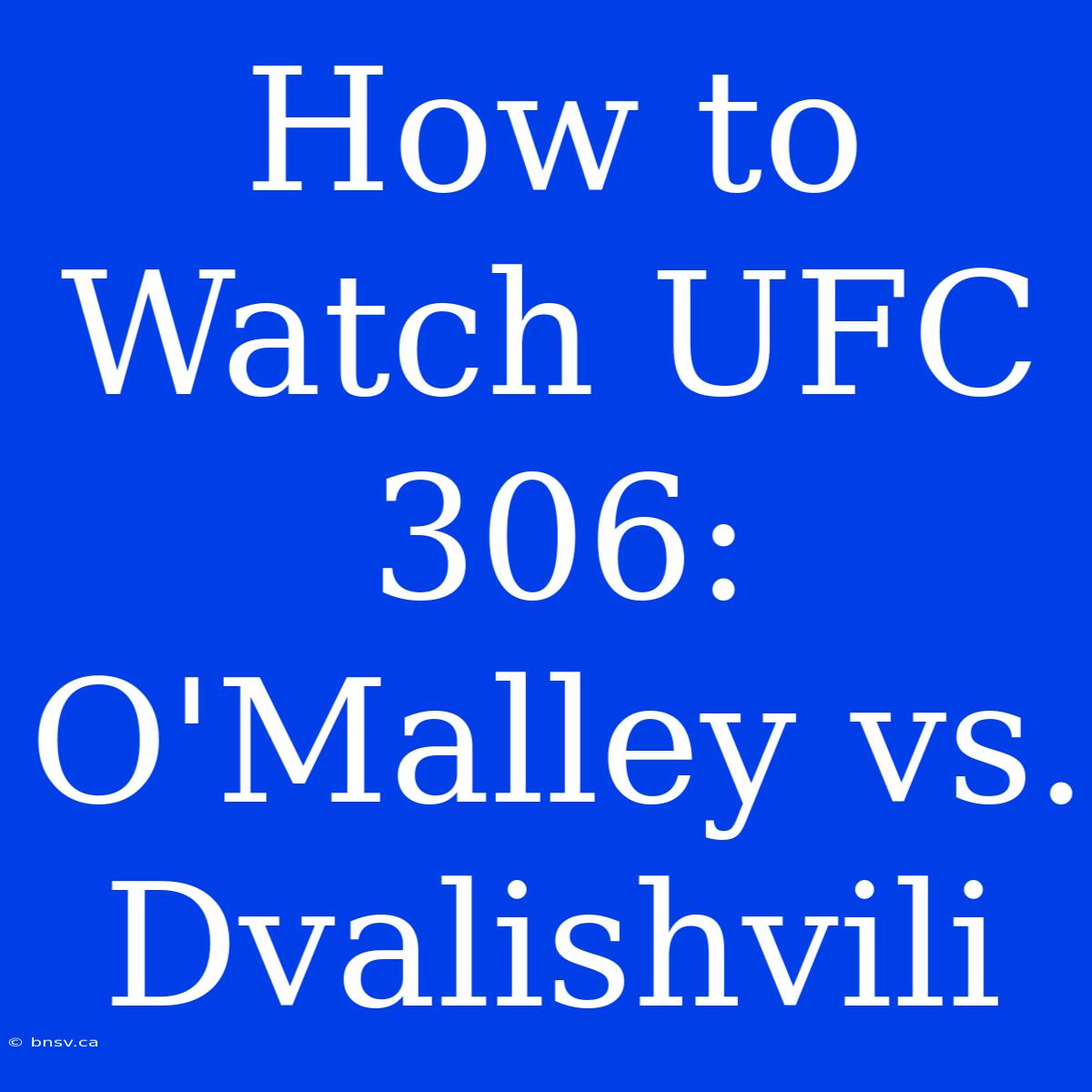 How To Watch UFC 306: O'Malley Vs. Dvalishvili