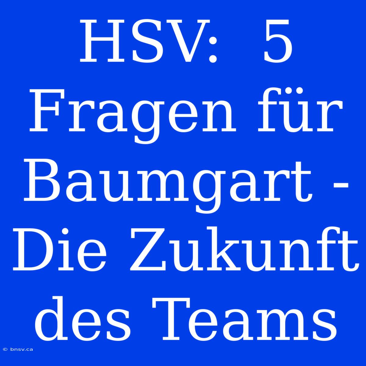 HSV:  5 Fragen Für Baumgart - Die Zukunft Des Teams