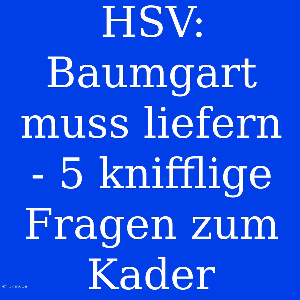 HSV:  Baumgart Muss Liefern - 5 Knifflige Fragen Zum Kader