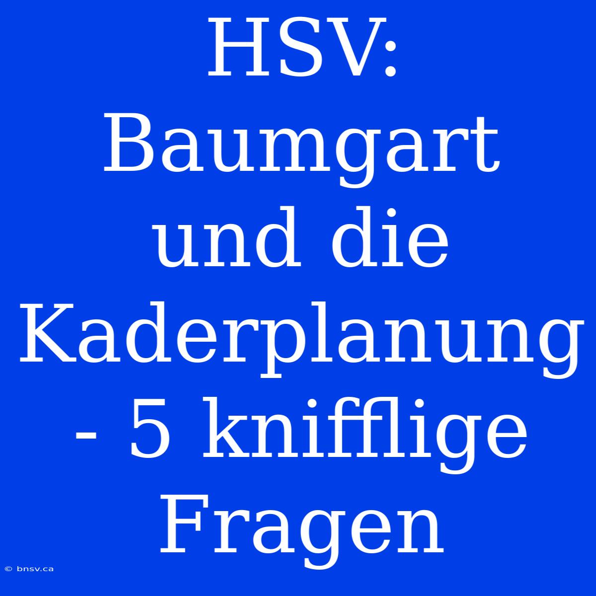 HSV:  Baumgart Und Die Kaderplanung - 5 Knifflige Fragen