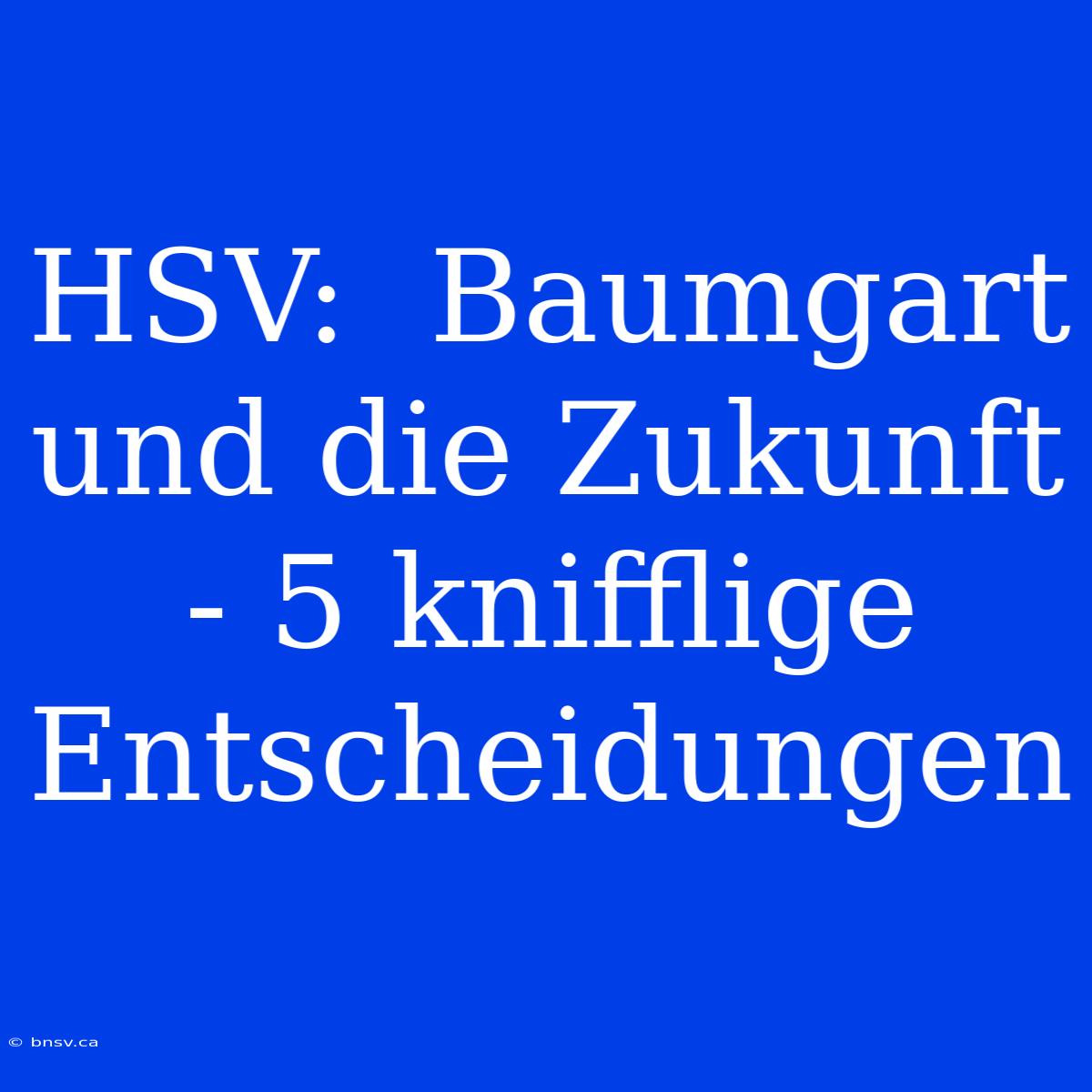 HSV:  Baumgart Und Die Zukunft - 5 Knifflige Entscheidungen