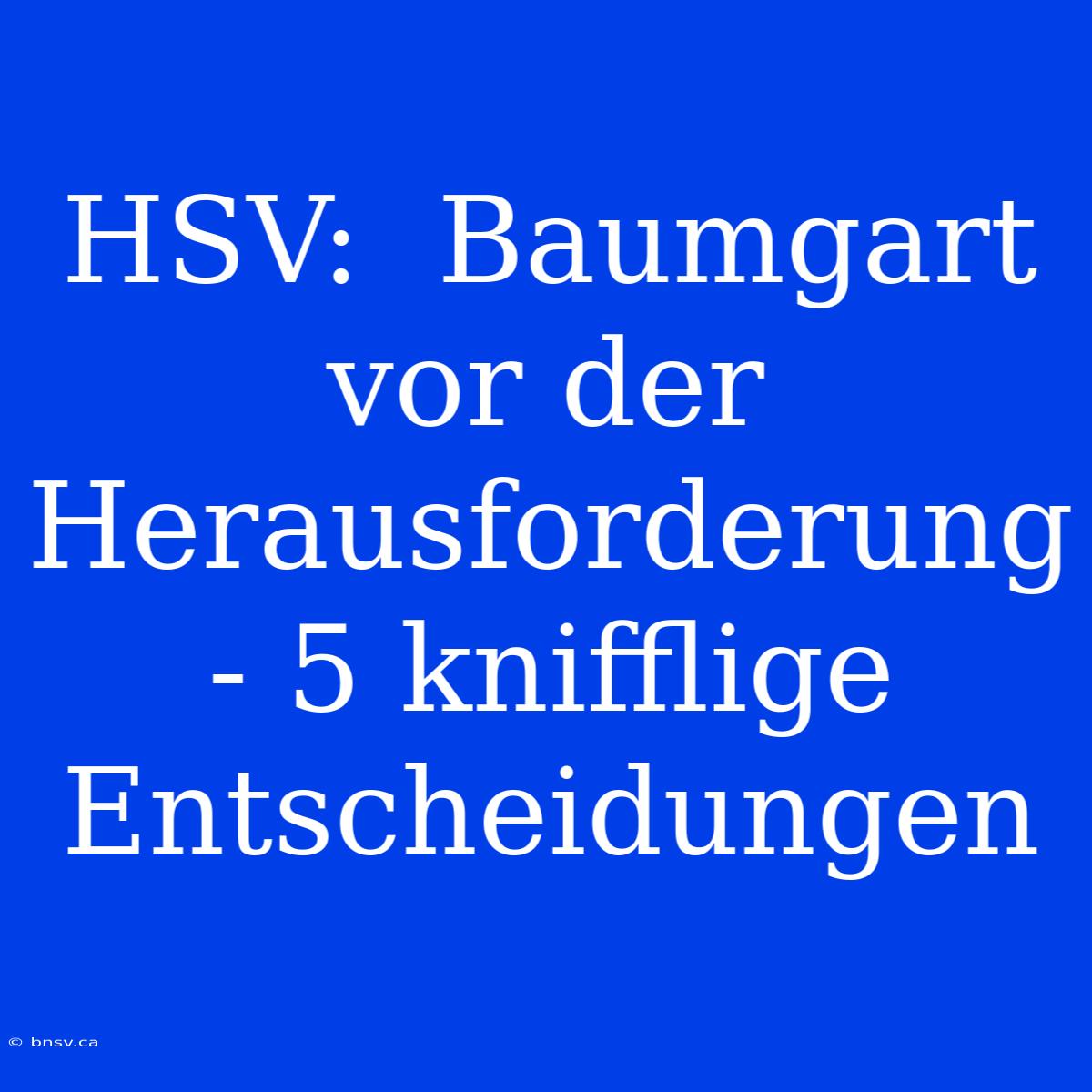 HSV:  Baumgart Vor Der Herausforderung - 5 Knifflige Entscheidungen