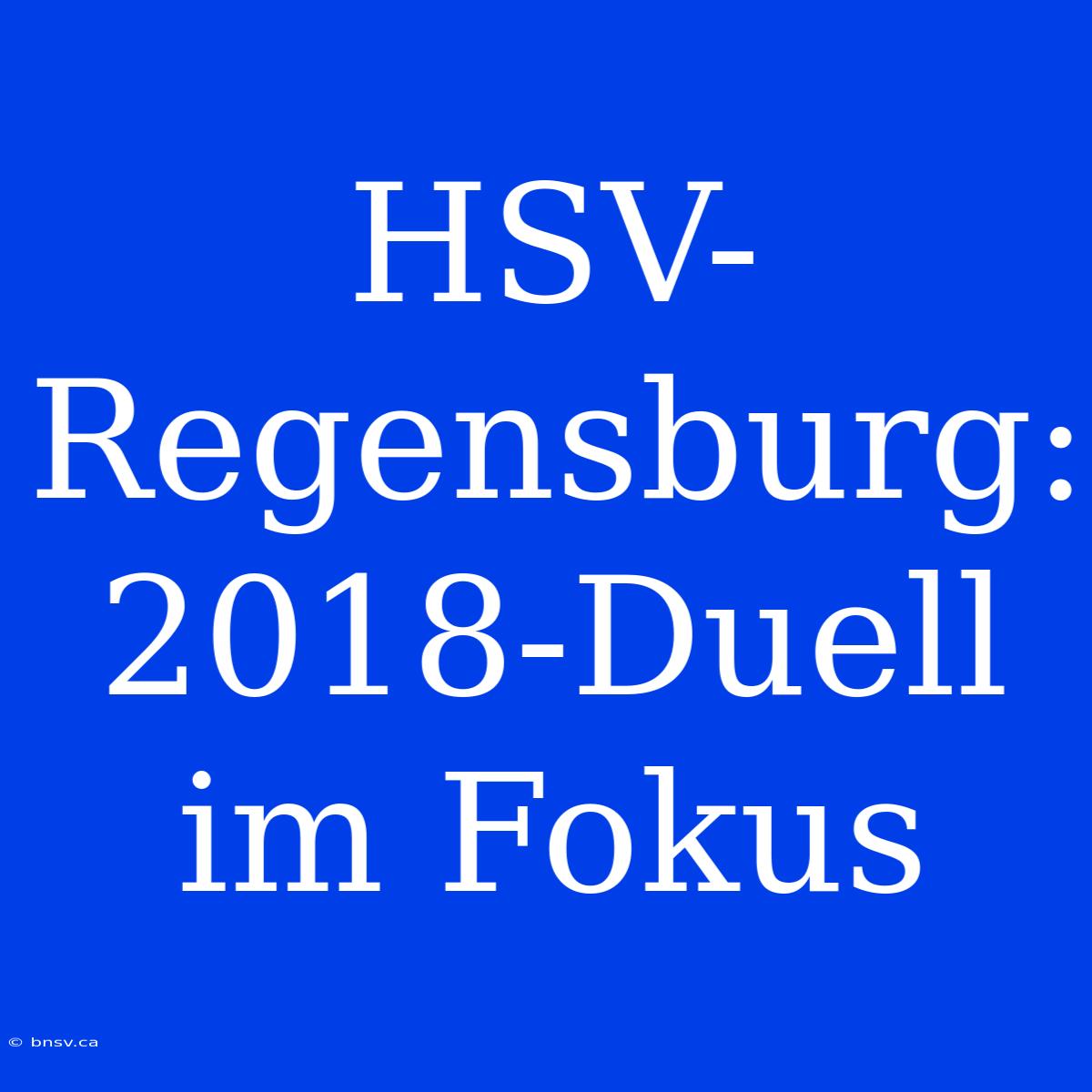 HSV-Regensburg: 2018-Duell Im Fokus