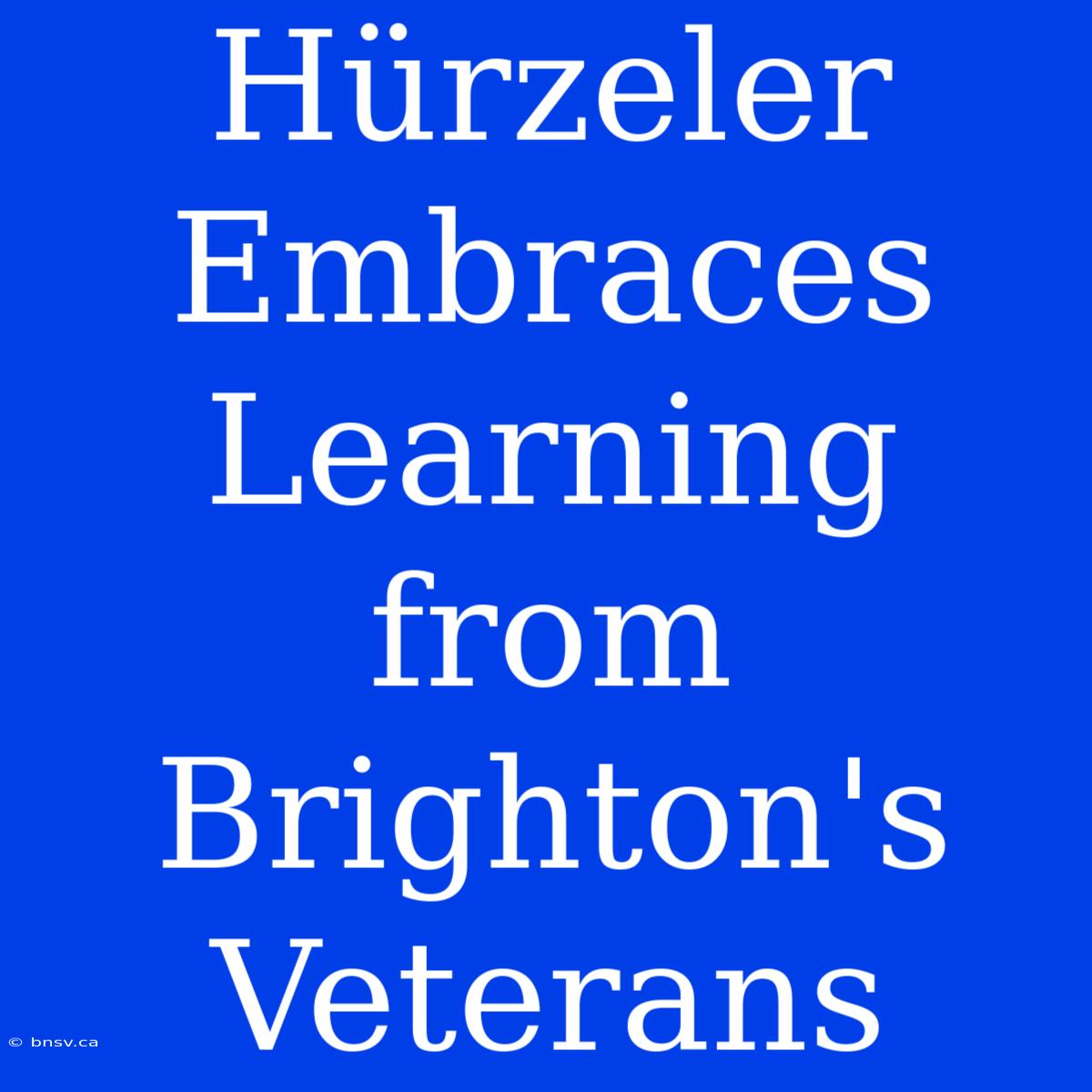 Hürzeler Embraces Learning From Brighton's Veterans