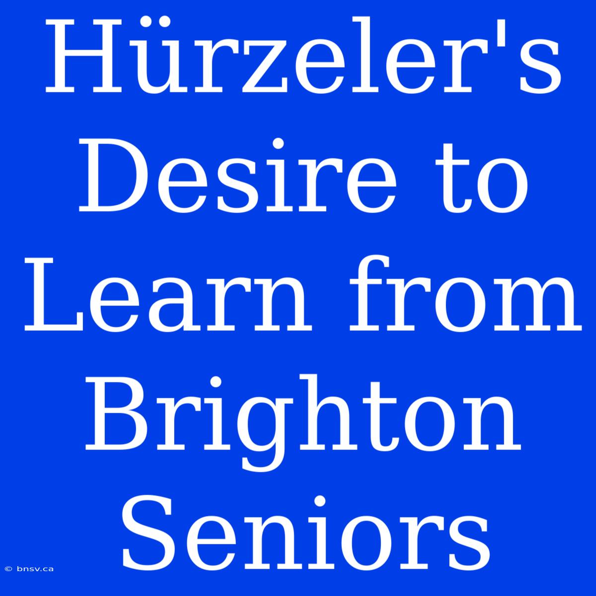 Hürzeler's Desire To Learn From Brighton Seniors