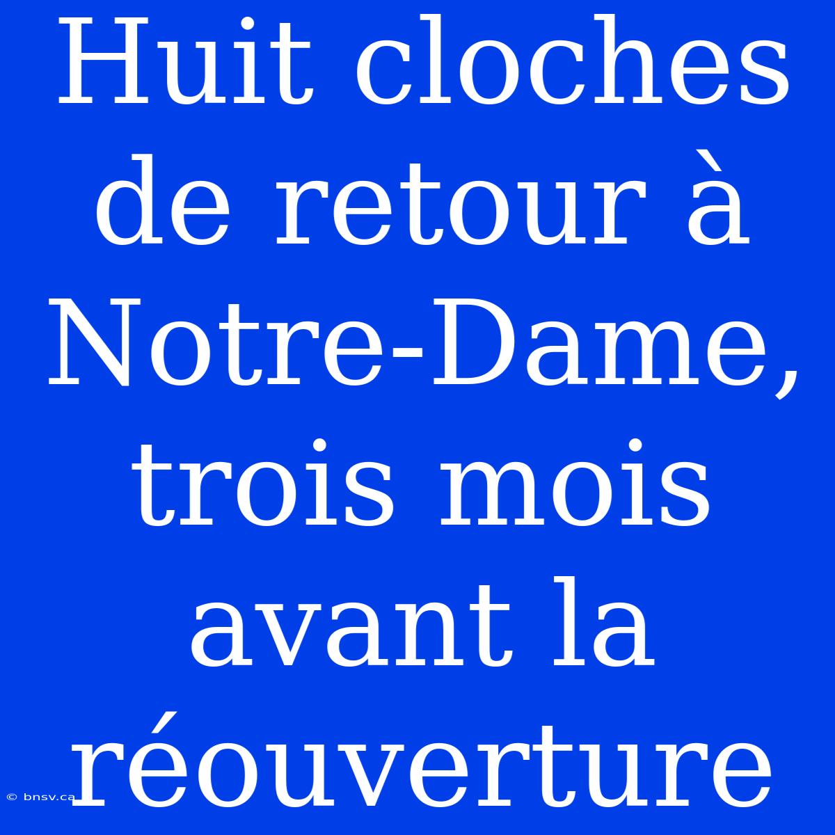 Huit Cloches De Retour À Notre-Dame, Trois Mois Avant La Réouverture