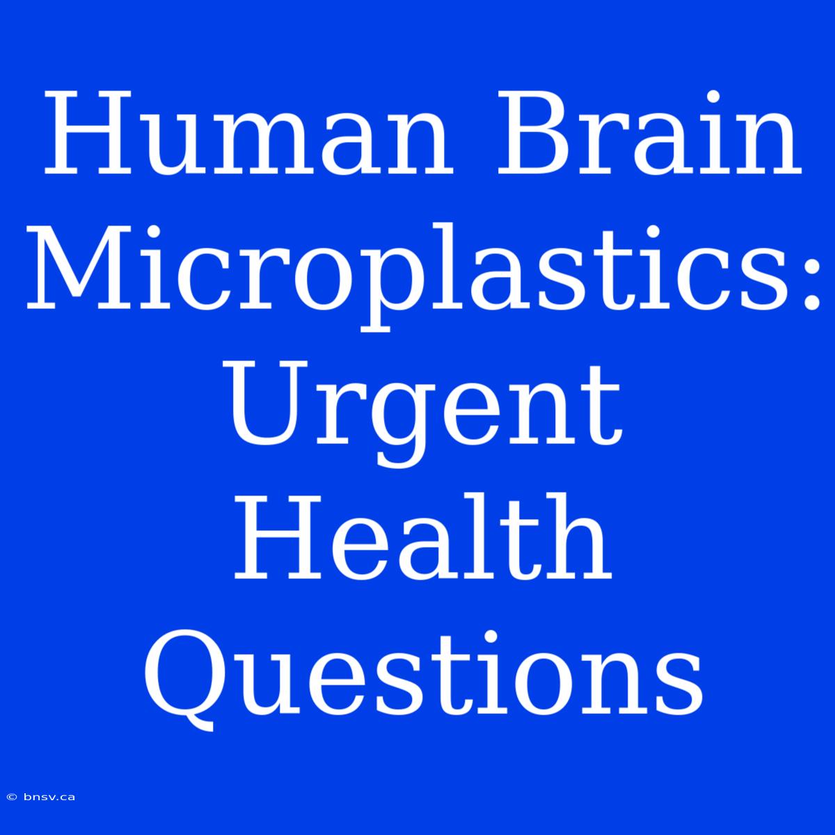 Human Brain Microplastics: Urgent Health Questions