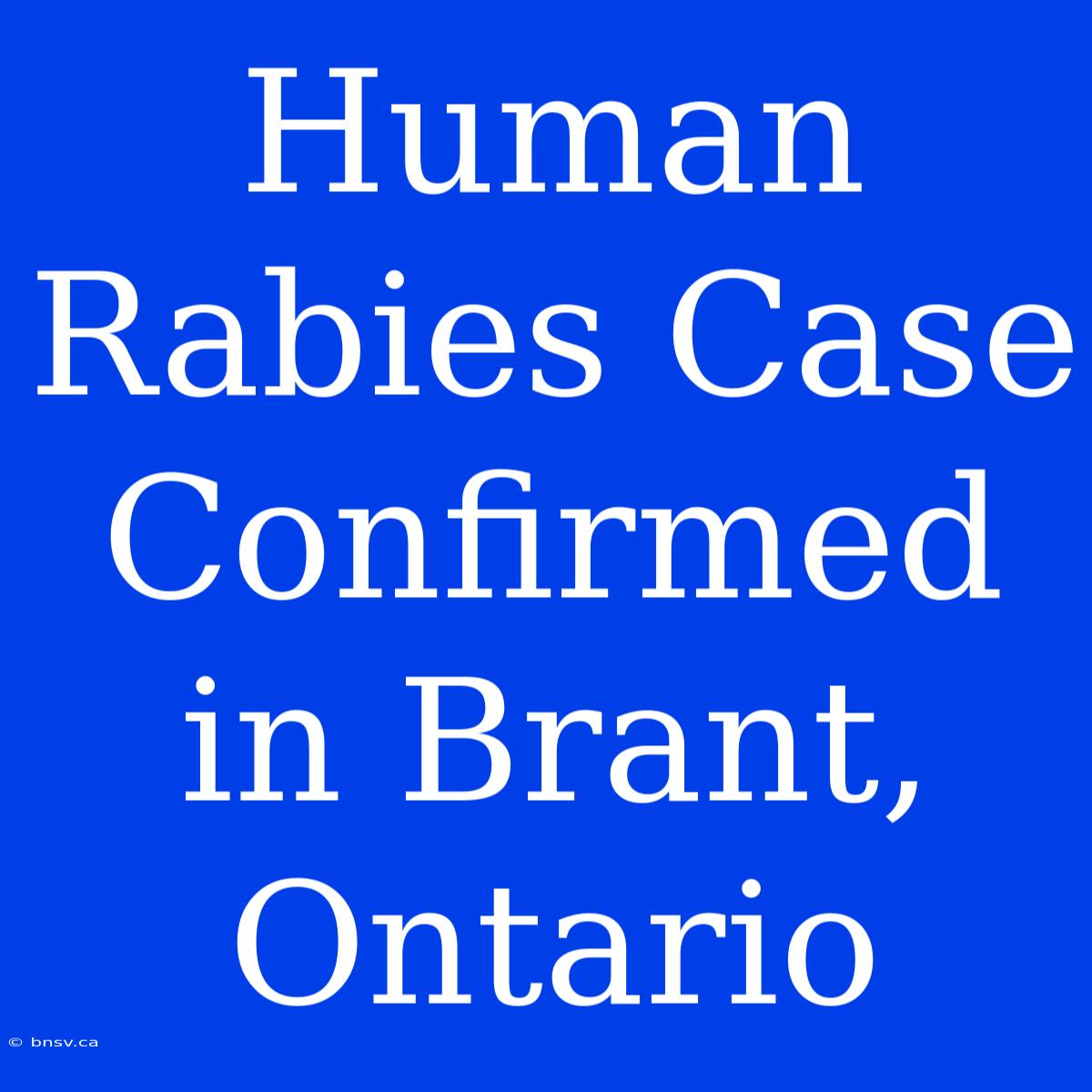 Human Rabies Case Confirmed In Brant, Ontario