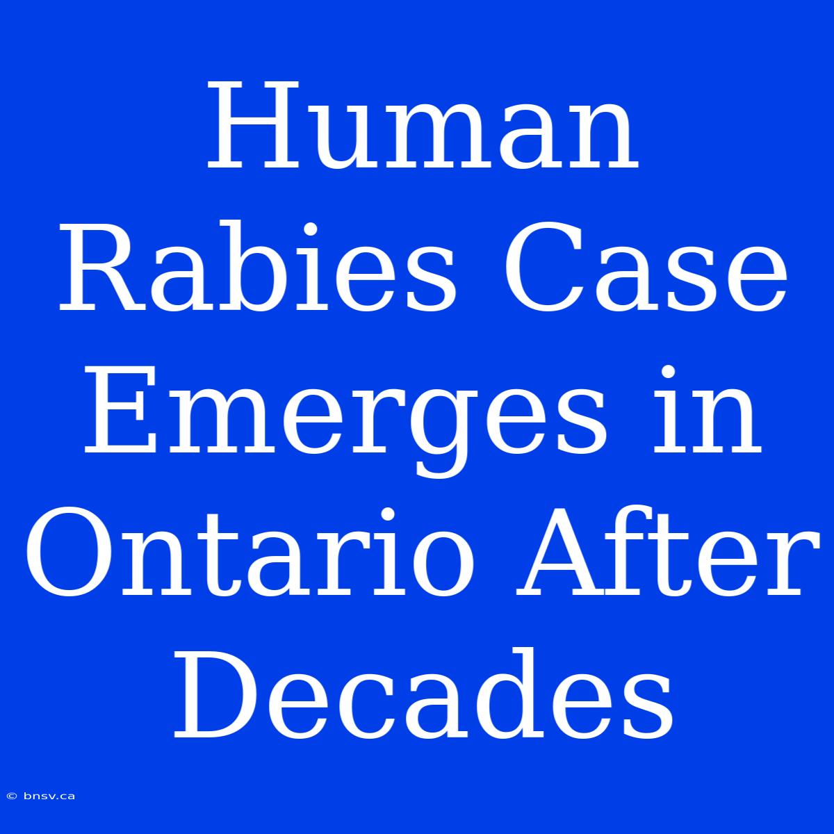 Human Rabies Case Emerges In Ontario After Decades