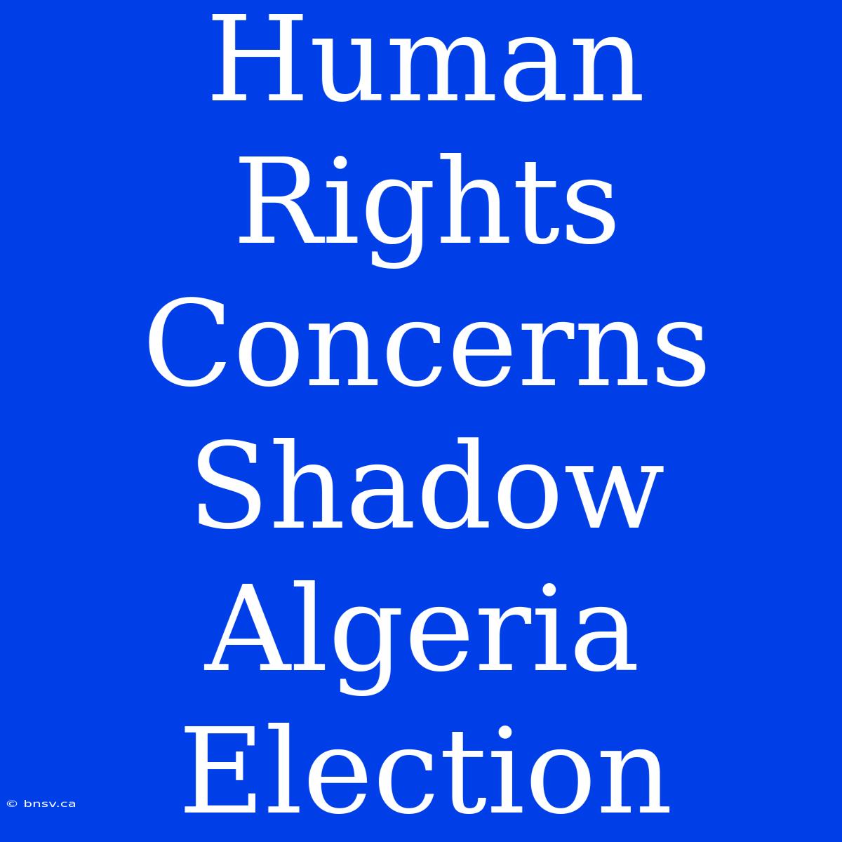 Human Rights Concerns Shadow Algeria Election