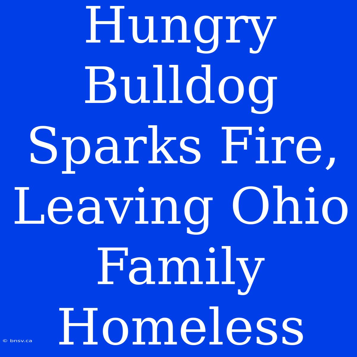 Hungry Bulldog Sparks Fire, Leaving Ohio Family Homeless