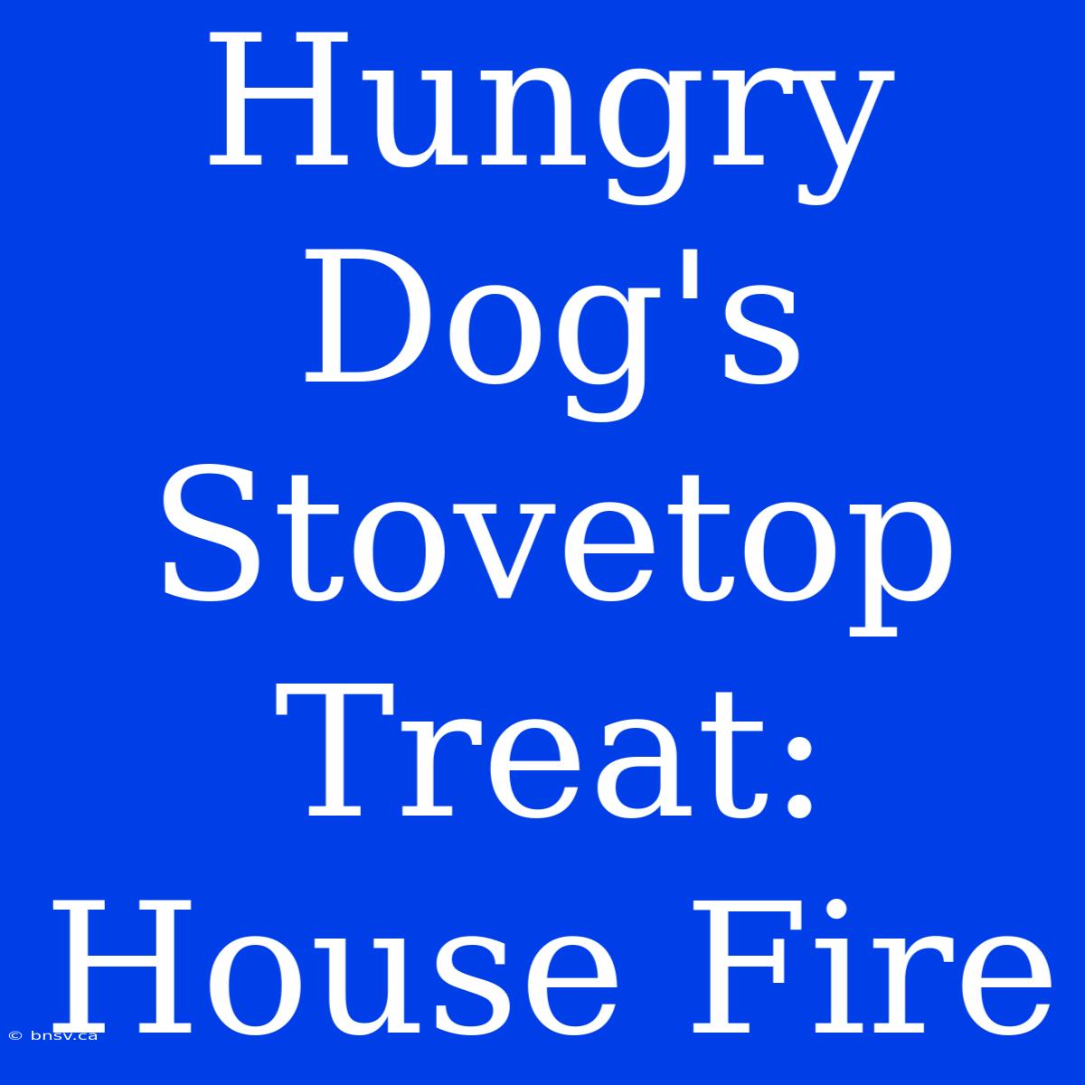 Hungry Dog's Stovetop Treat: House Fire