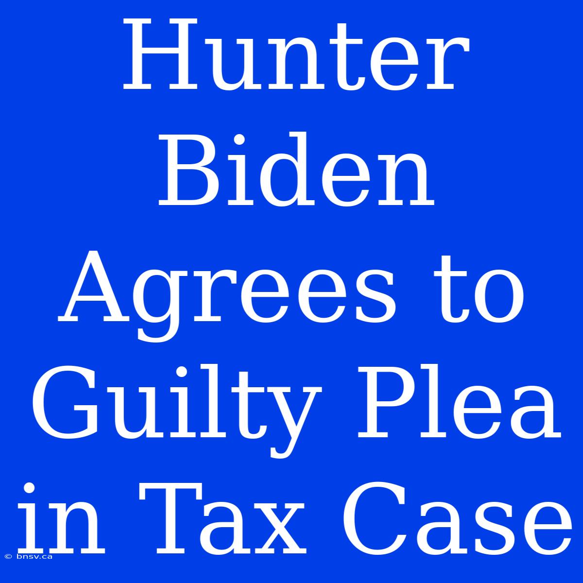 Hunter Biden Agrees To Guilty Plea In Tax Case