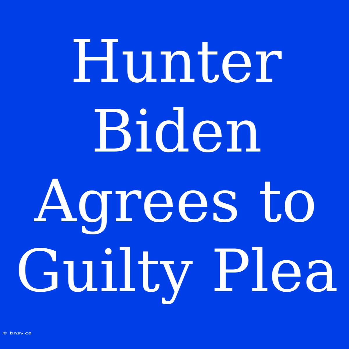 Hunter Biden Agrees To Guilty Plea