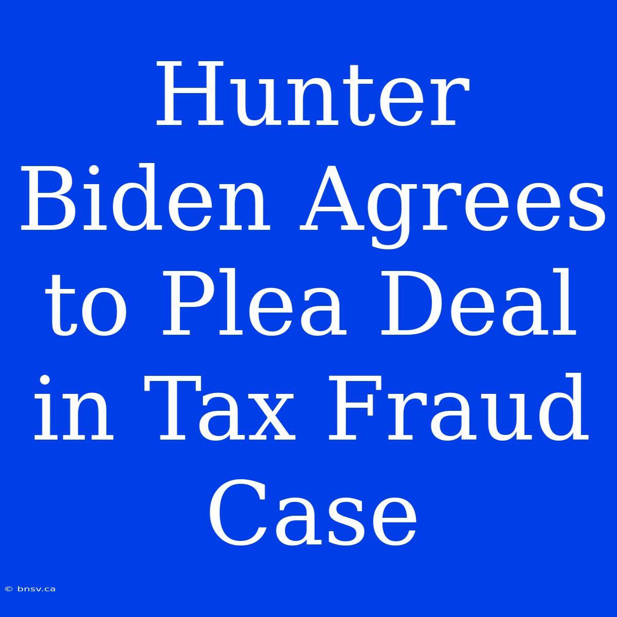 Hunter Biden Agrees To Plea Deal In Tax Fraud Case