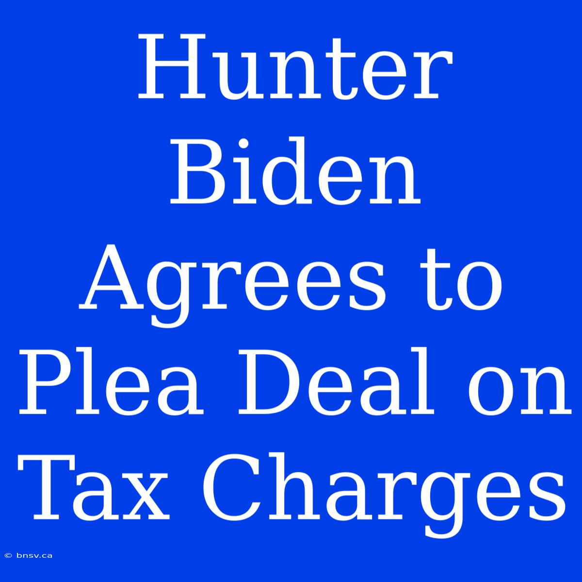 Hunter Biden Agrees To Plea Deal On Tax Charges