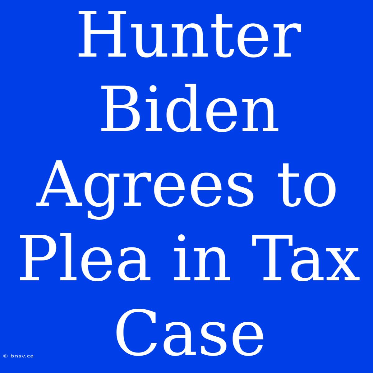 Hunter Biden Agrees To Plea In Tax Case