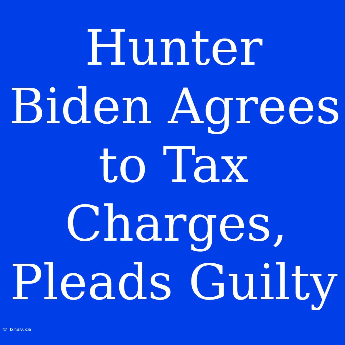 Hunter Biden Agrees To Tax Charges, Pleads Guilty