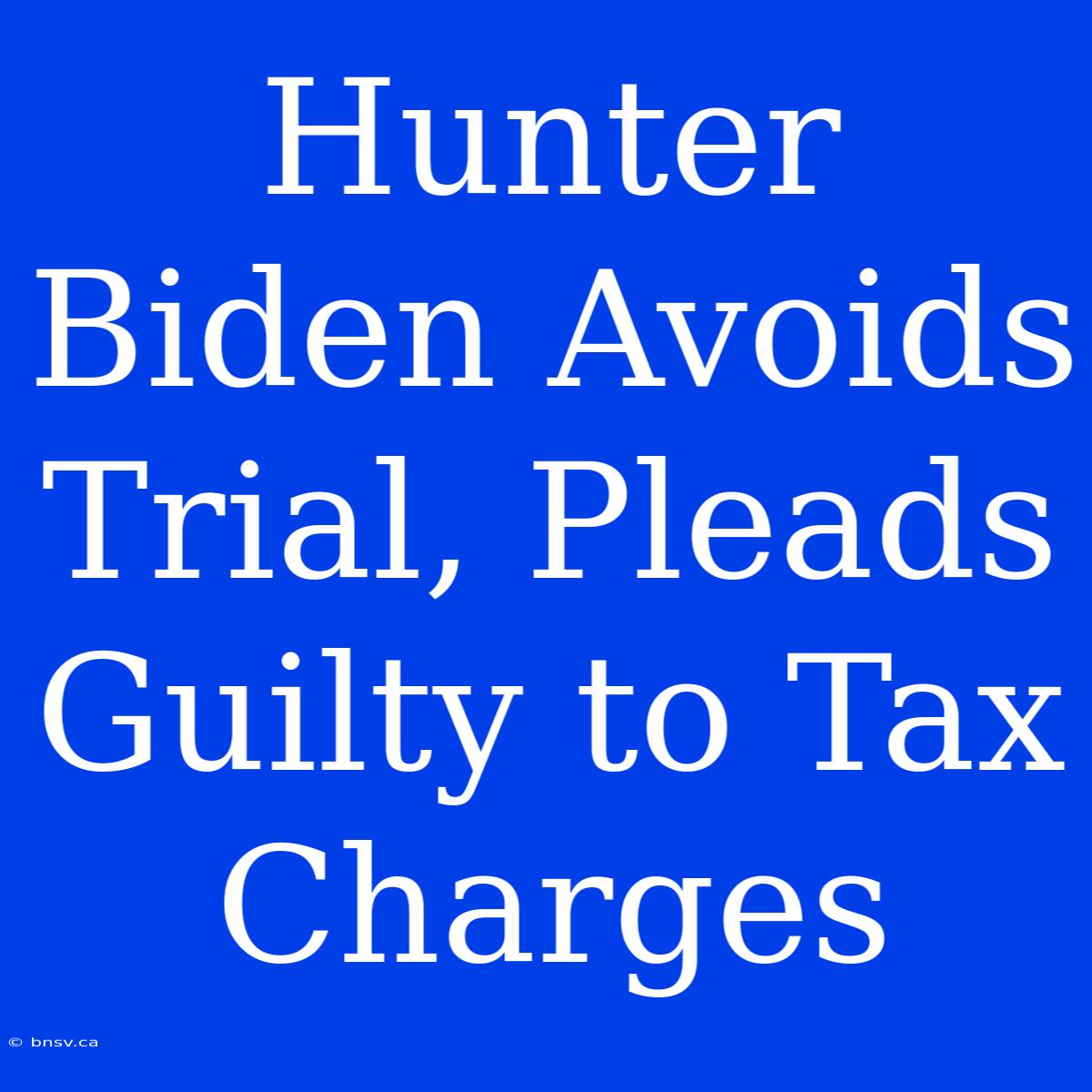 Hunter Biden Avoids Trial, Pleads Guilty To Tax Charges