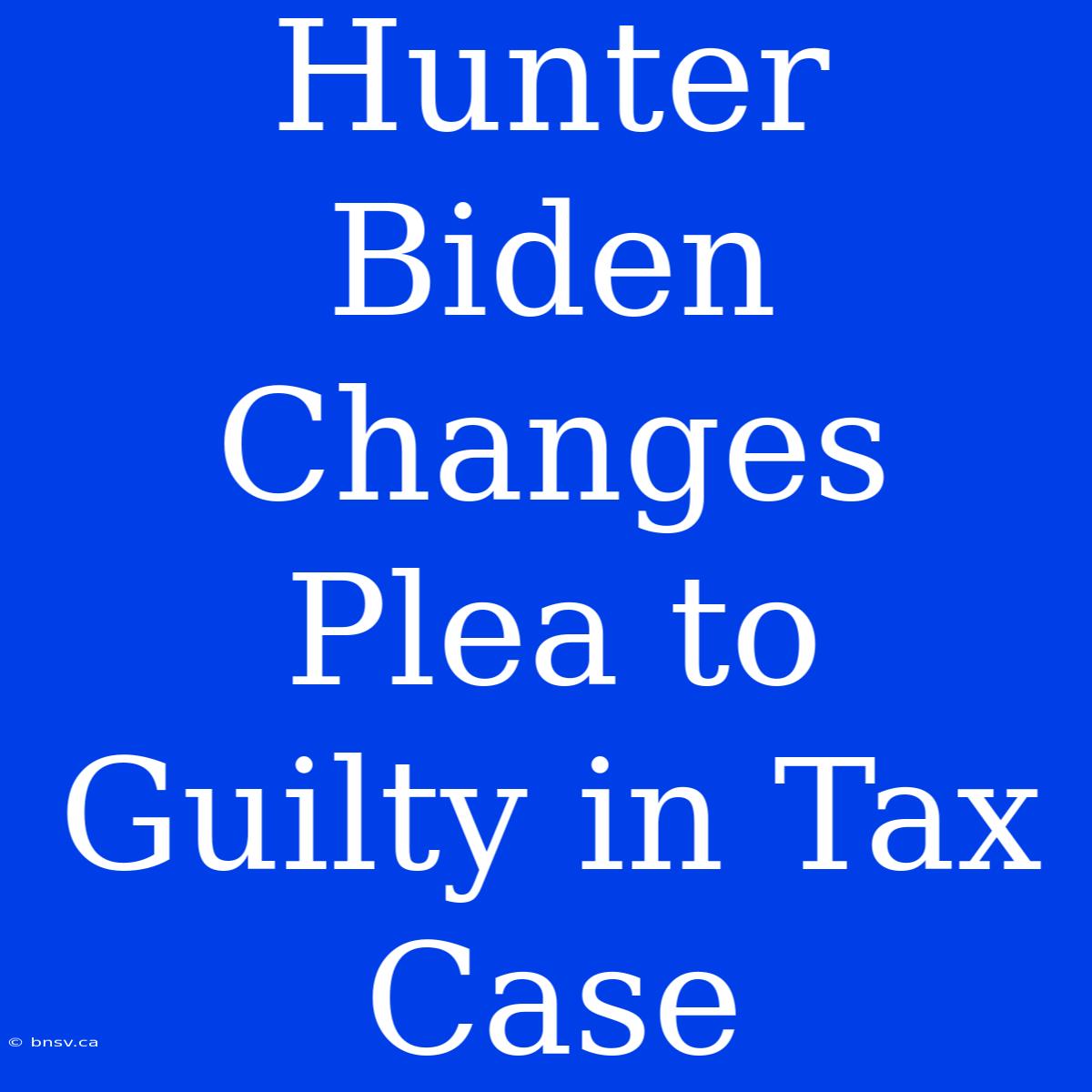 Hunter Biden Changes Plea To Guilty In Tax Case