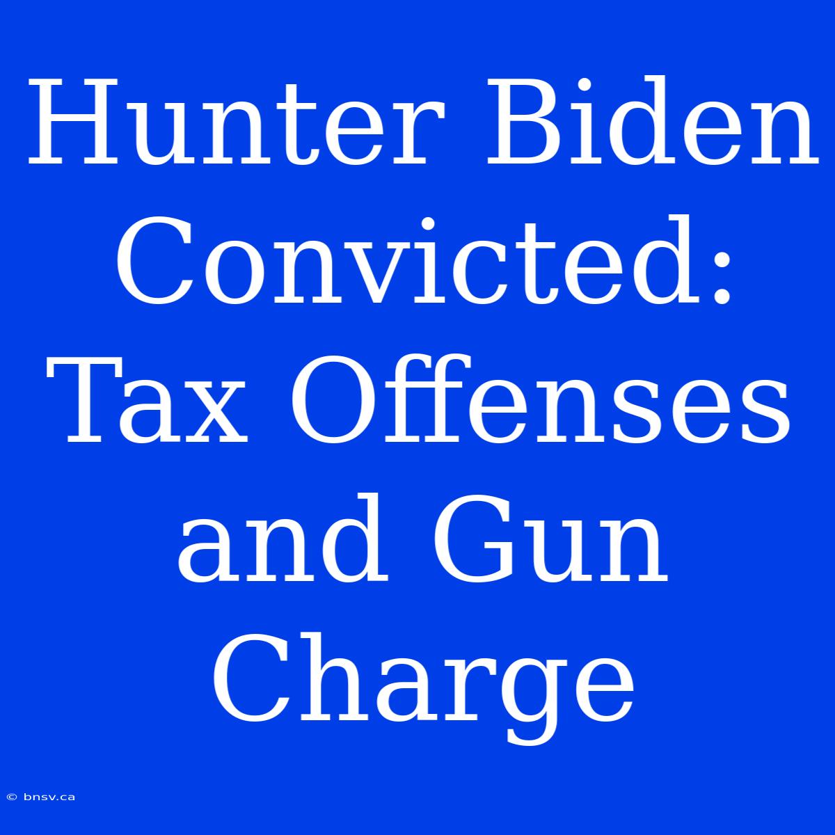 Hunter Biden Convicted: Tax Offenses And Gun Charge