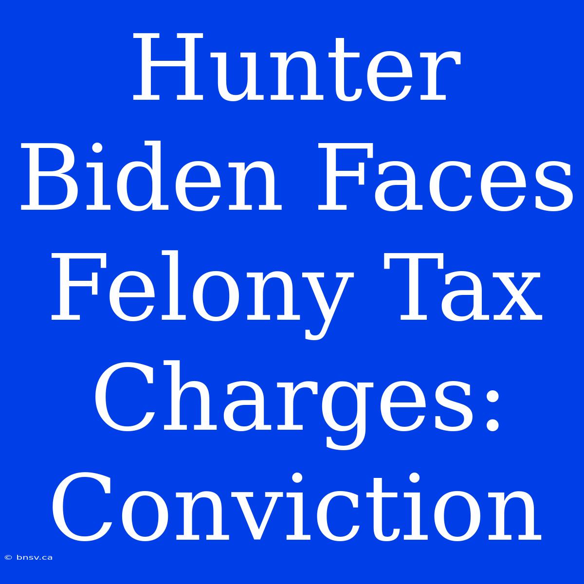 Hunter Biden Faces Felony Tax Charges: Conviction