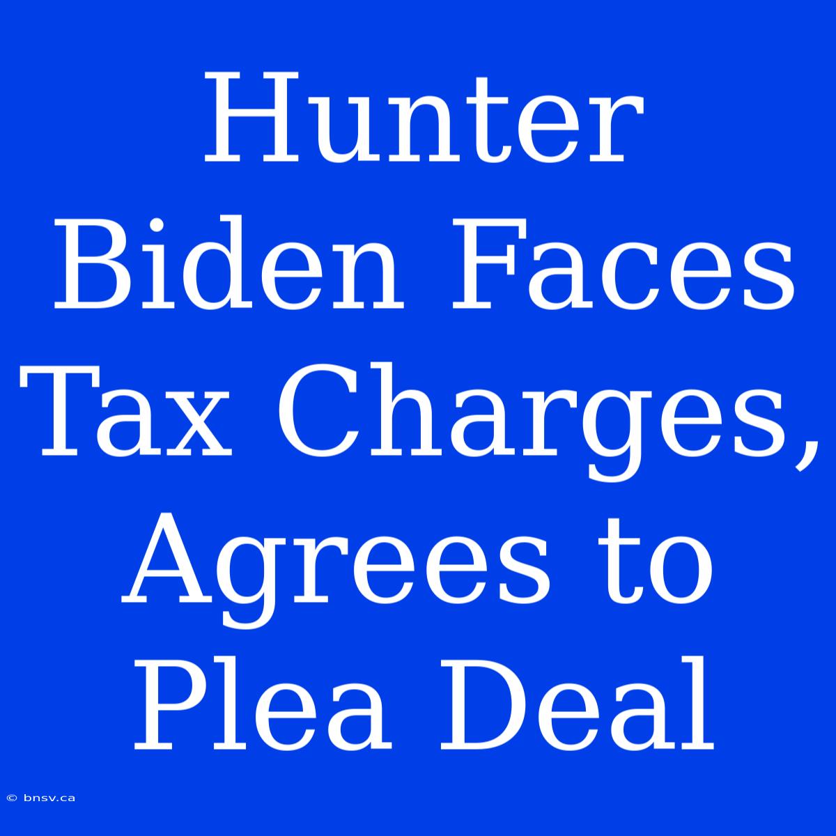 Hunter Biden Faces Tax Charges, Agrees To Plea Deal