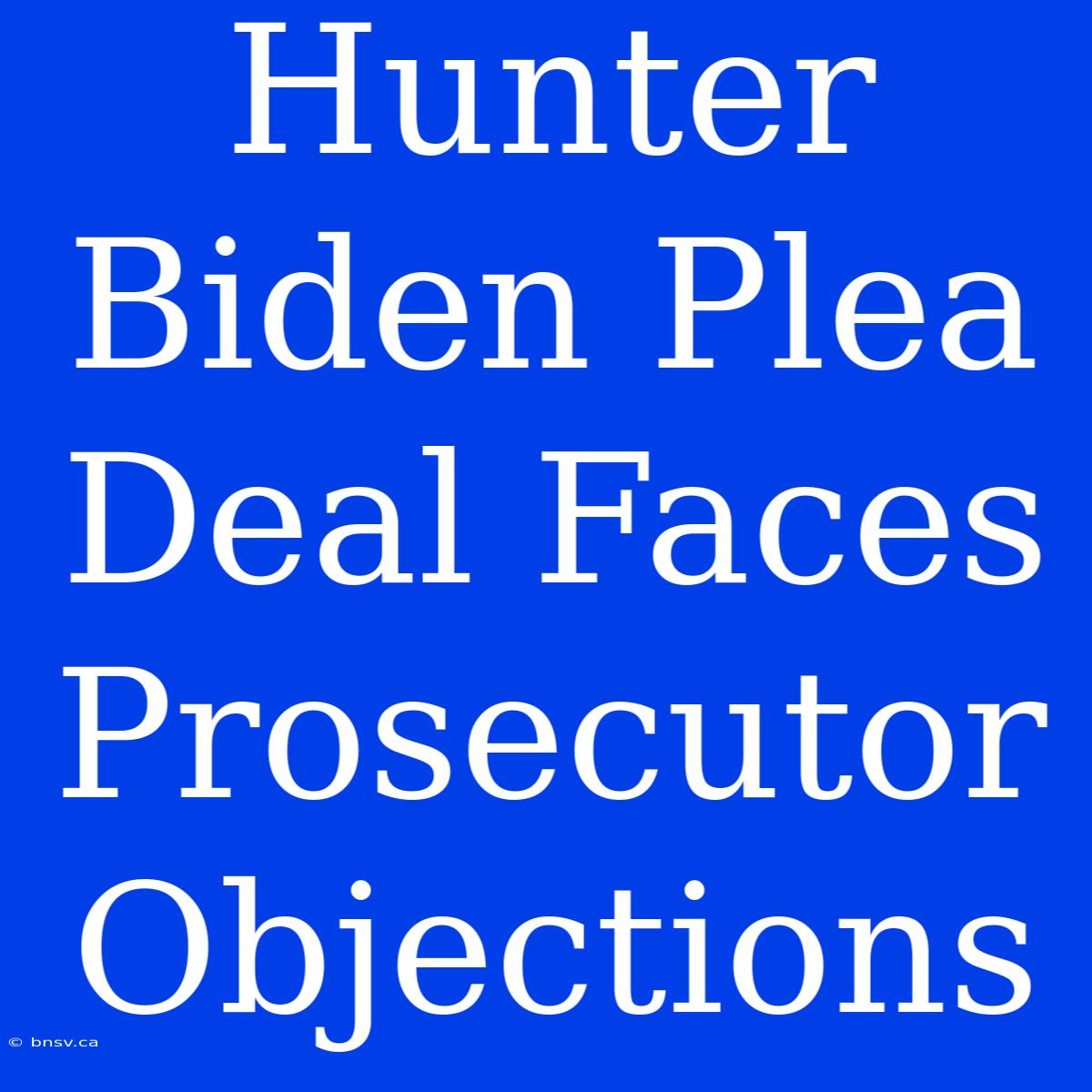 Hunter Biden Plea Deal Faces Prosecutor Objections