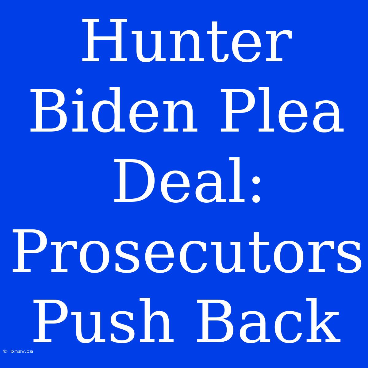 Hunter Biden Plea Deal: Prosecutors Push Back