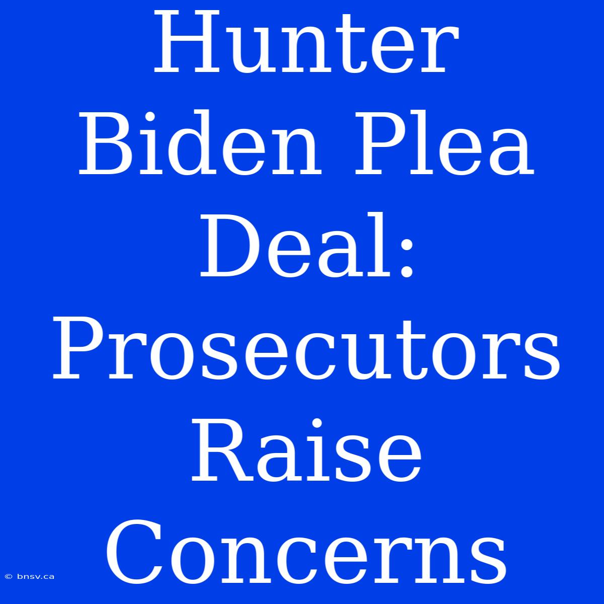 Hunter Biden Plea Deal: Prosecutors Raise Concerns