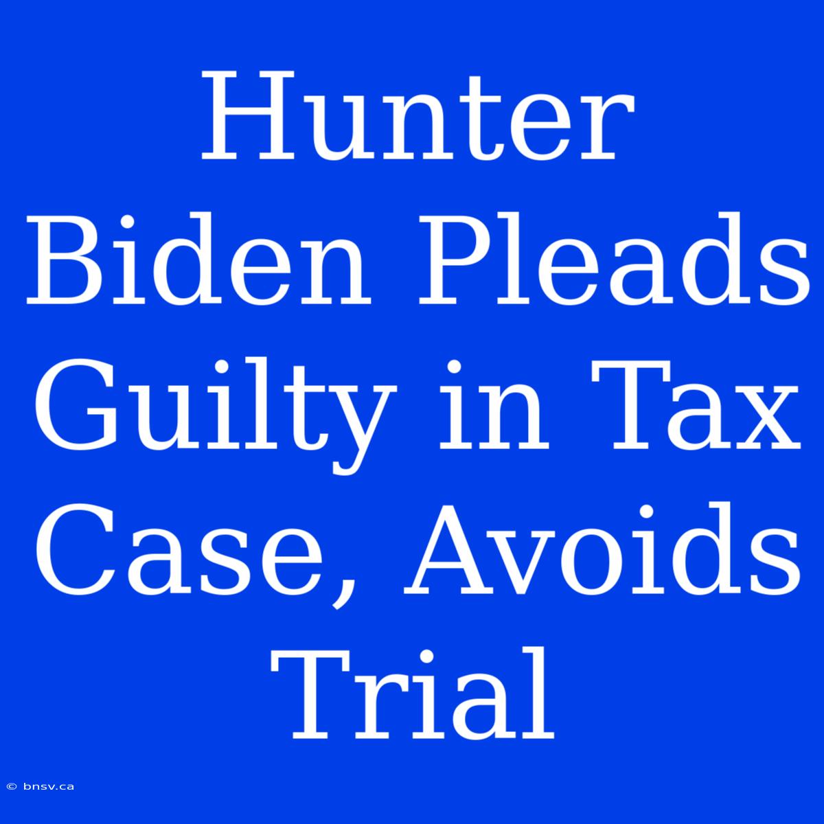 Hunter Biden Pleads Guilty In Tax Case, Avoids Trial