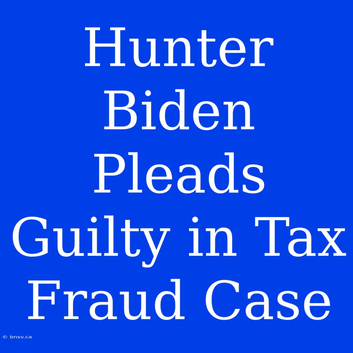 Hunter Biden Pleads Guilty In Tax Fraud Case