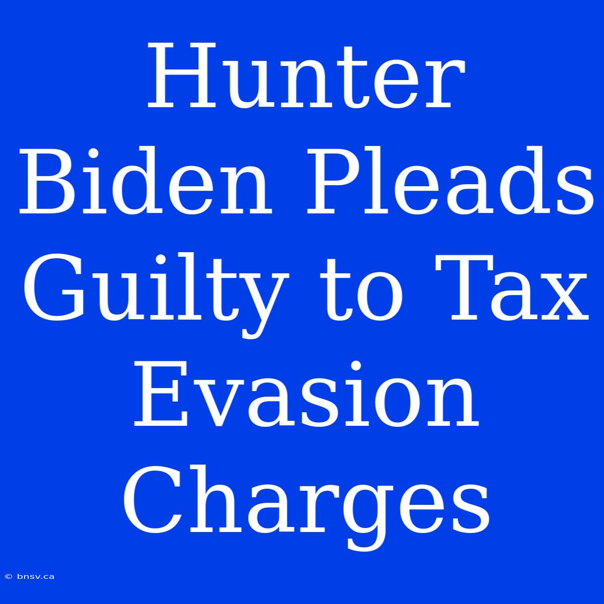 Hunter Biden Pleads Guilty To Tax Evasion Charges