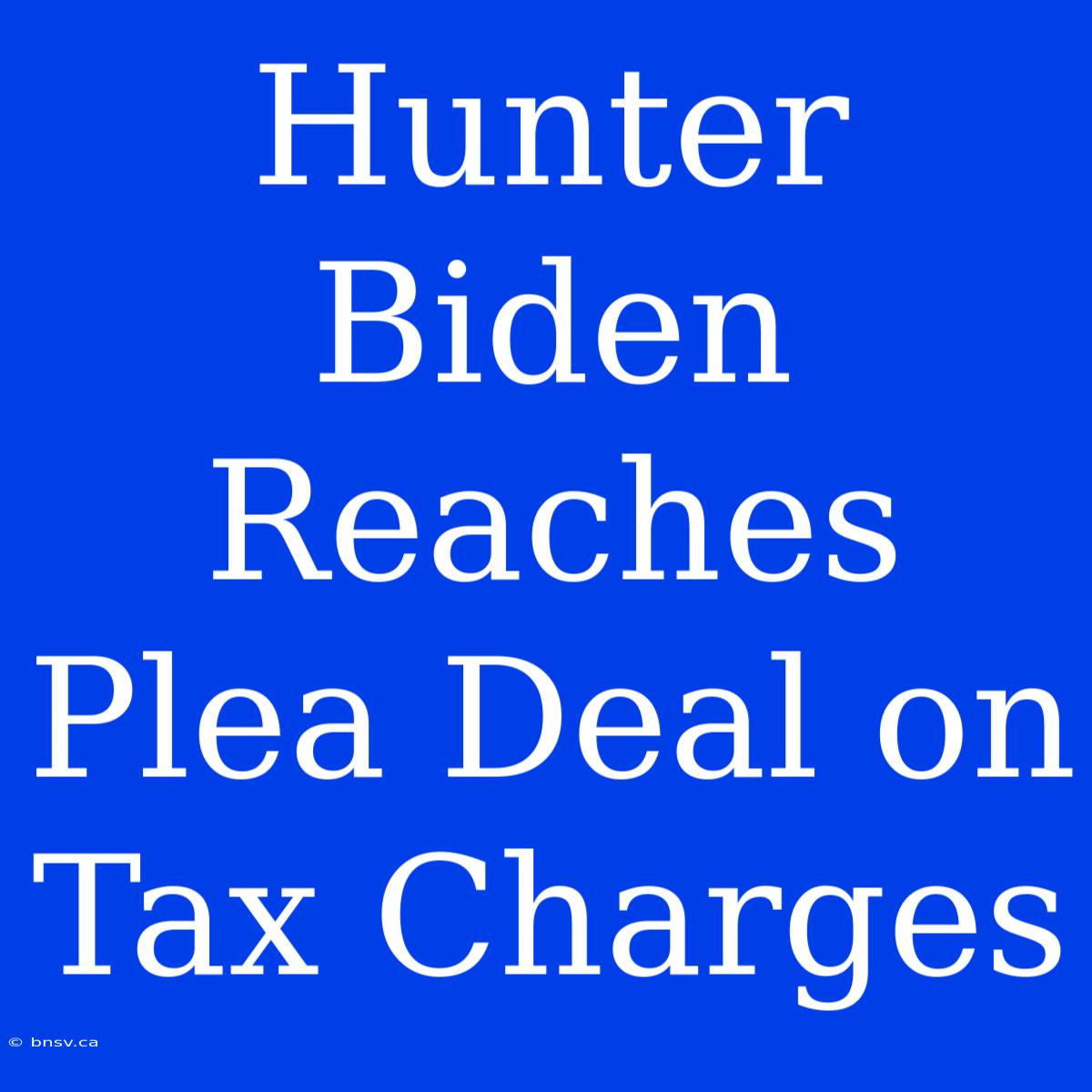 Hunter Biden Reaches Plea Deal On Tax Charges