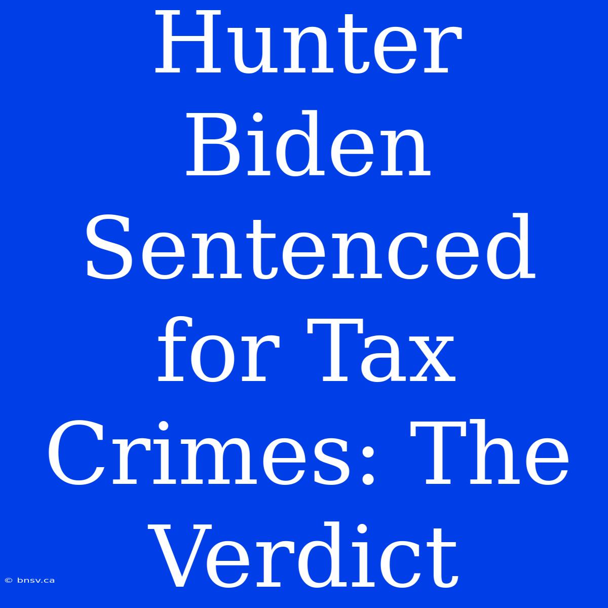 Hunter Biden Sentenced For Tax Crimes: The Verdict