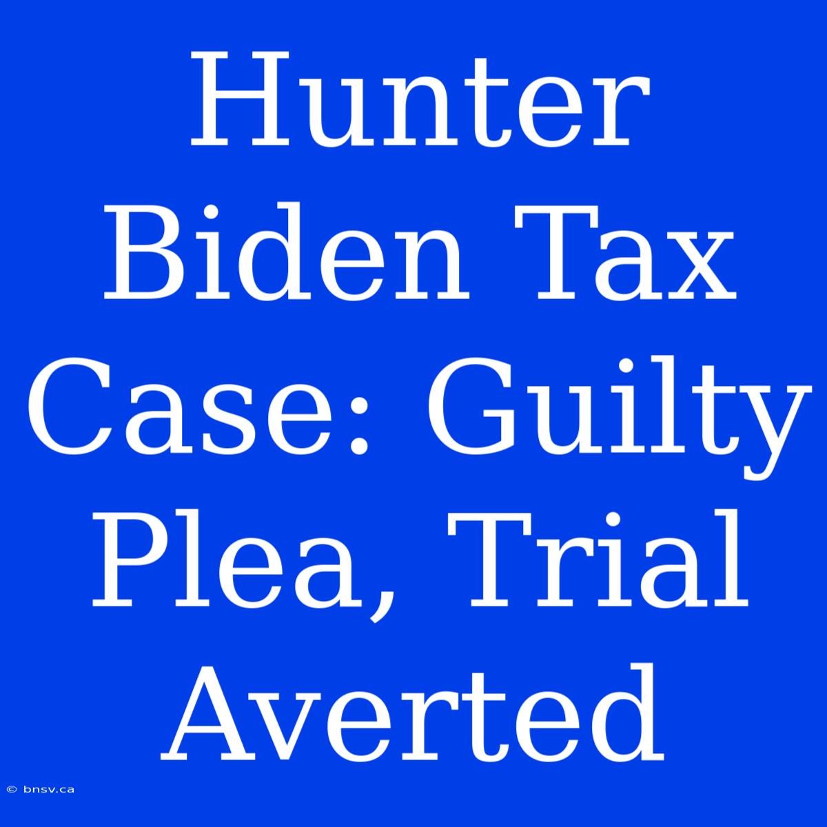 Hunter Biden Tax Case: Guilty Plea, Trial Averted