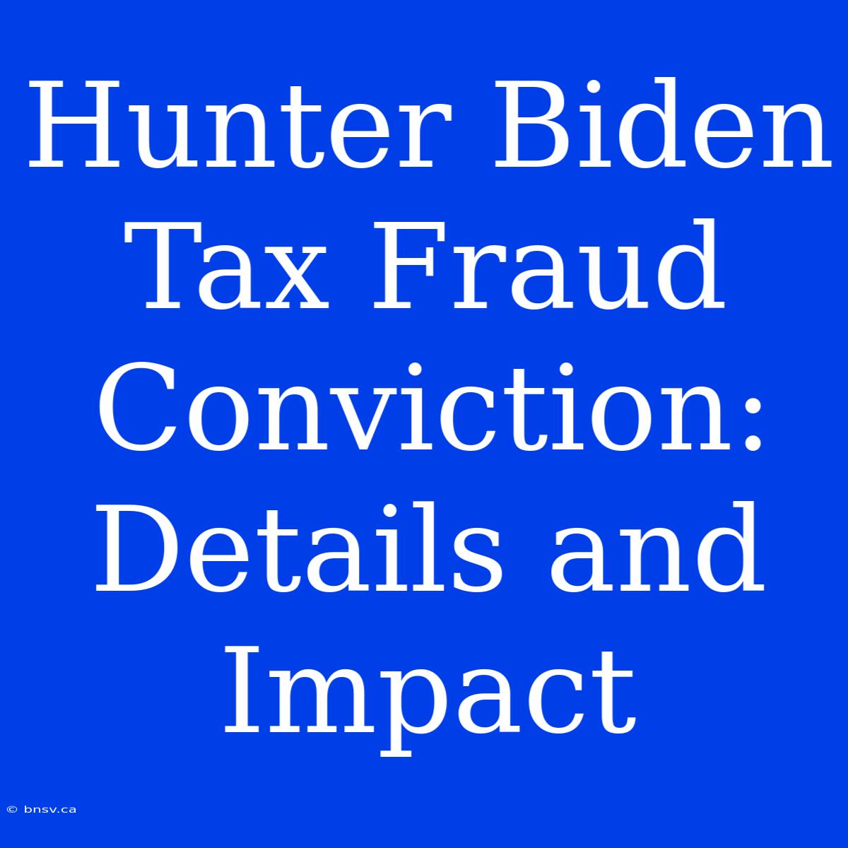 Hunter Biden Tax Fraud Conviction: Details And Impact