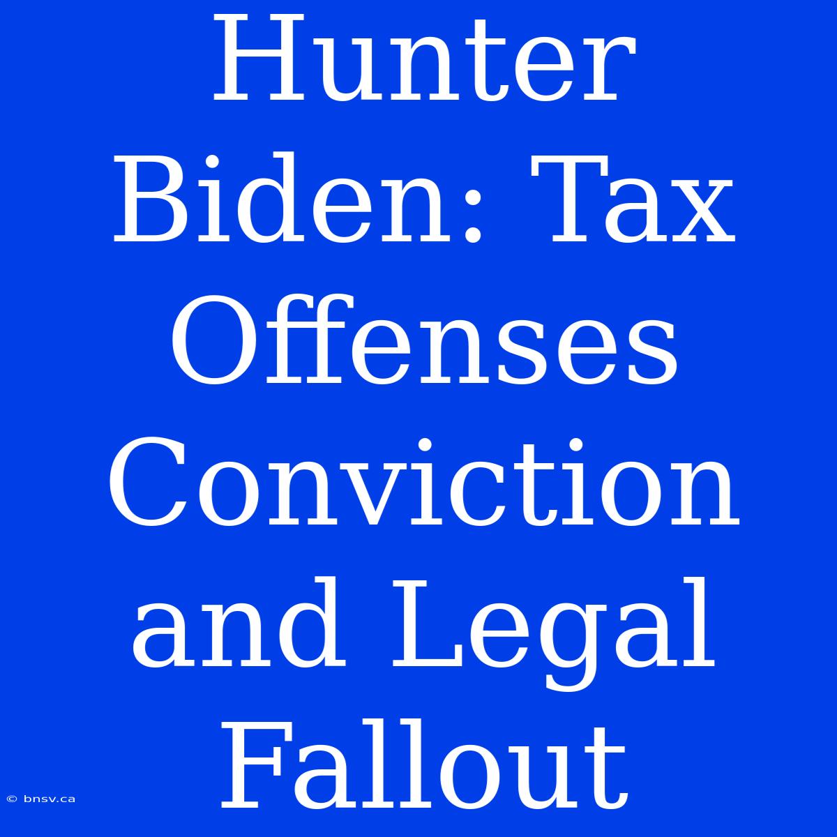 Hunter Biden: Tax Offenses Conviction And Legal Fallout