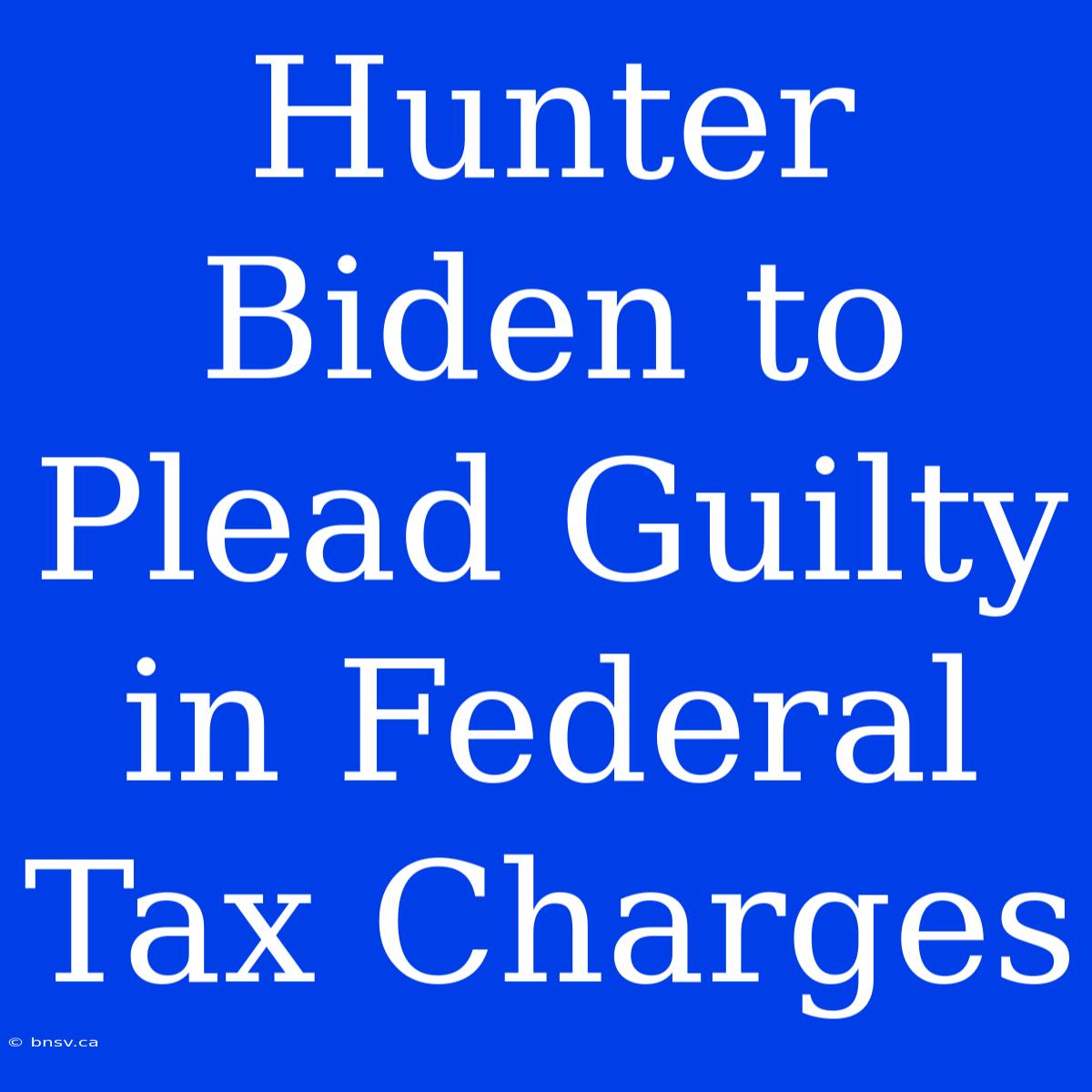 Hunter Biden To Plead Guilty In Federal Tax Charges