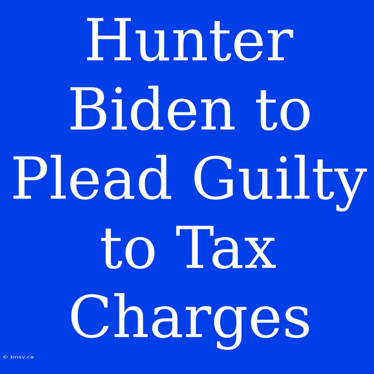 Hunter Biden To Plead Guilty To Tax Charges