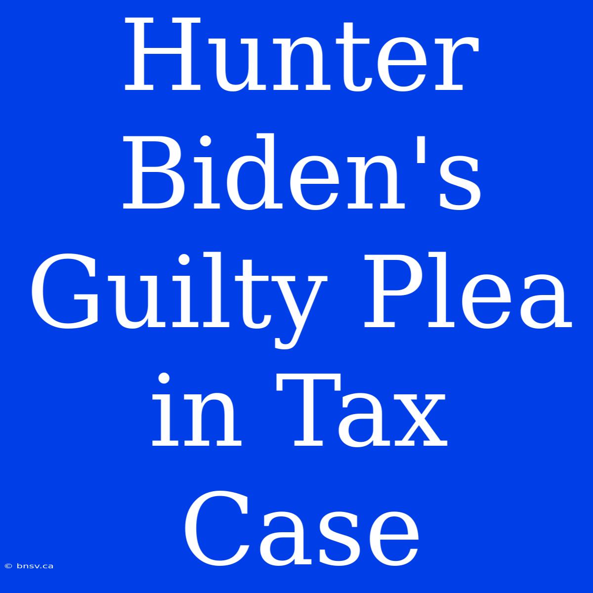 Hunter Biden's Guilty Plea In Tax Case