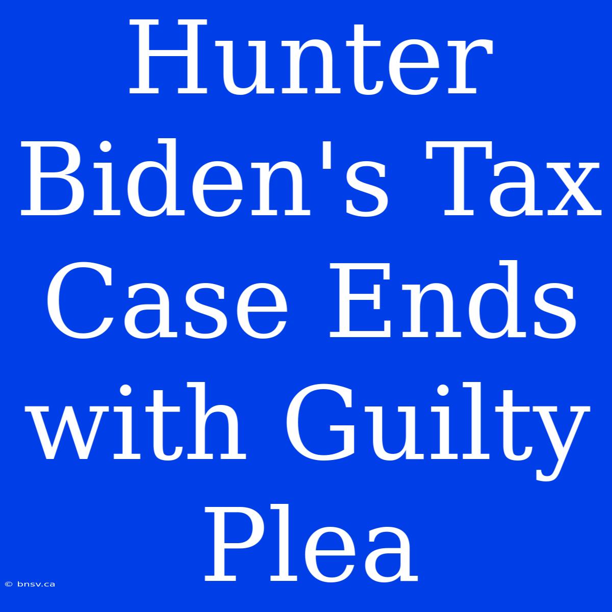 Hunter Biden's Tax Case Ends With Guilty Plea