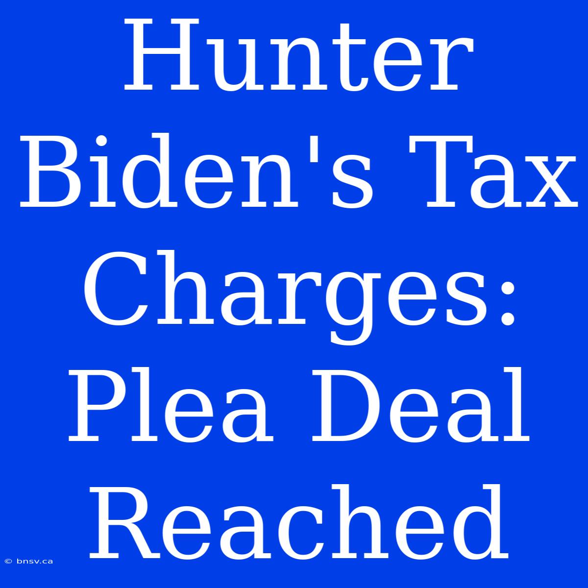 Hunter Biden's Tax Charges: Plea Deal Reached