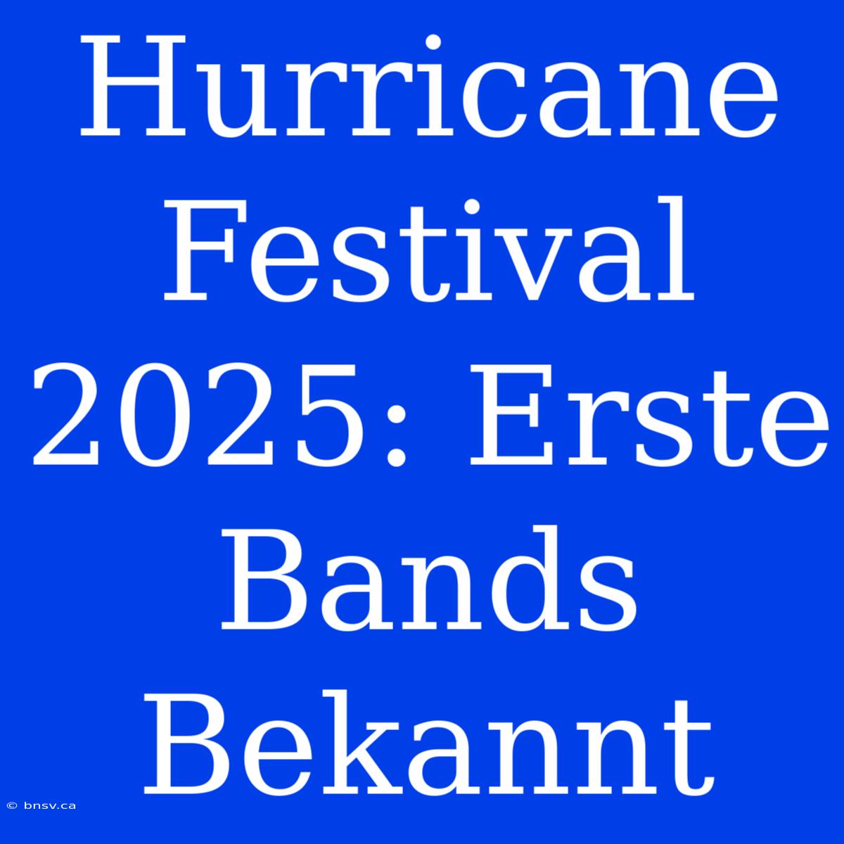 Hurricane Festival 2025: Erste Bands Bekannt