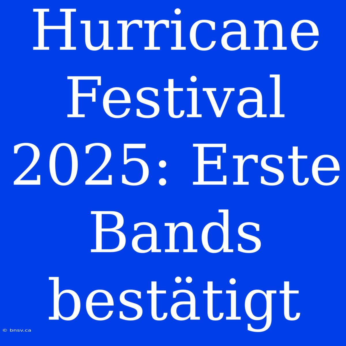 Hurricane Festival 2025: Erste Bands Bestätigt