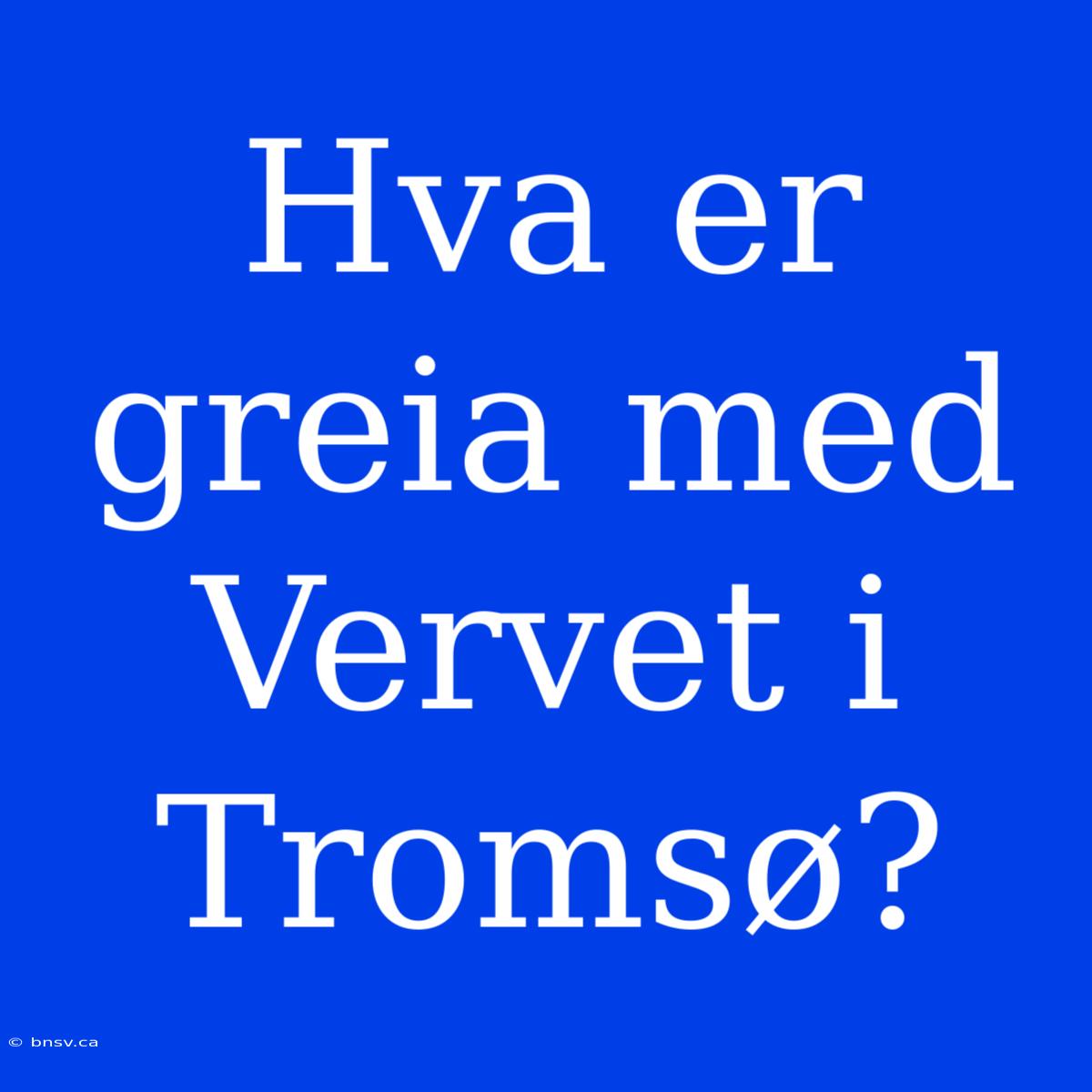 Hva Er Greia Med Vervet I Tromsø?