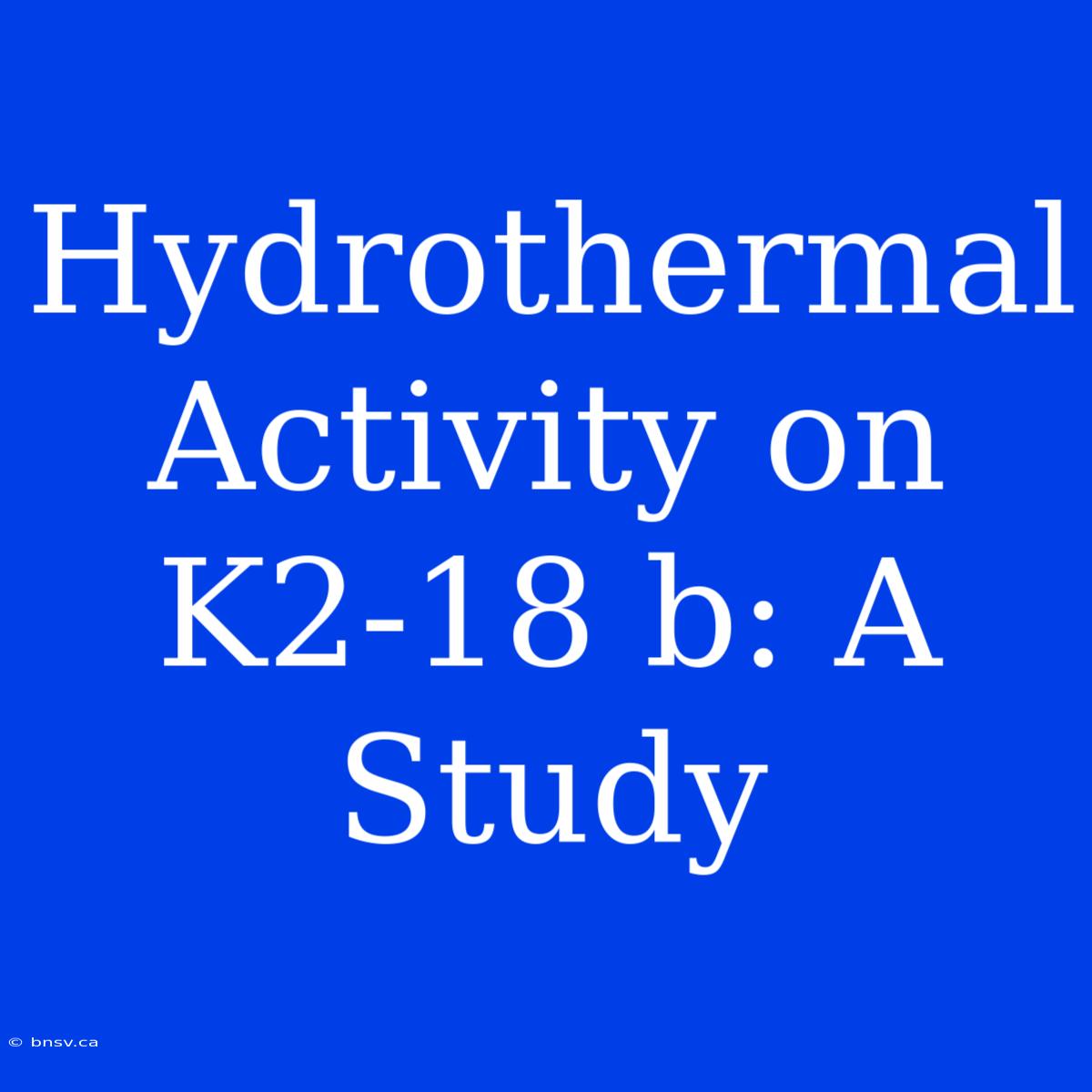 Hydrothermal Activity On K2-18 B: A Study