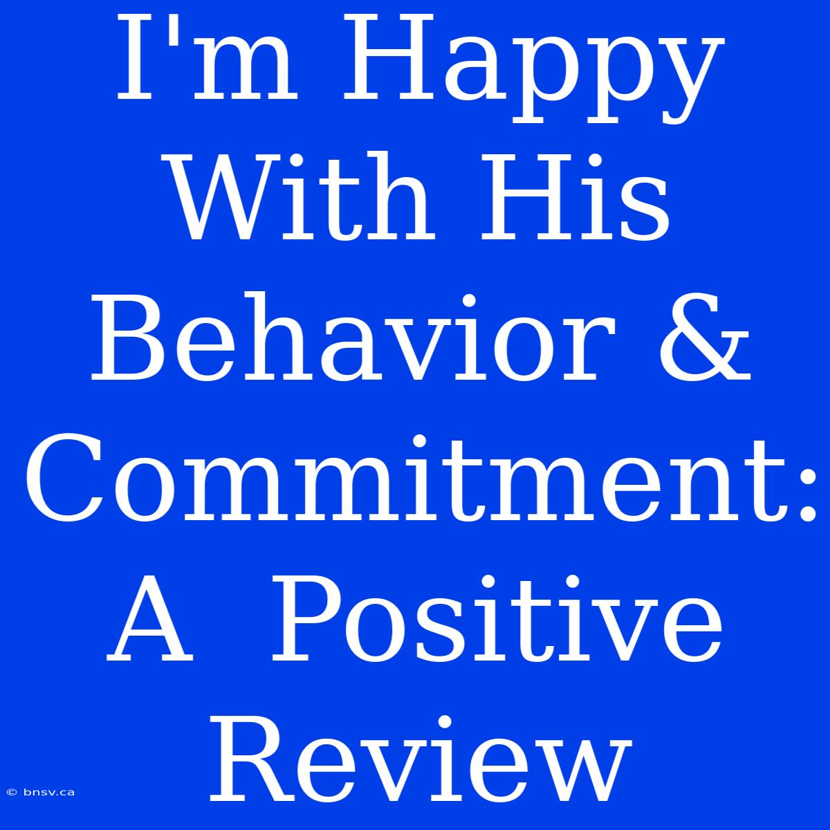 I'm Happy With His Behavior & Commitment:  A  Positive Review