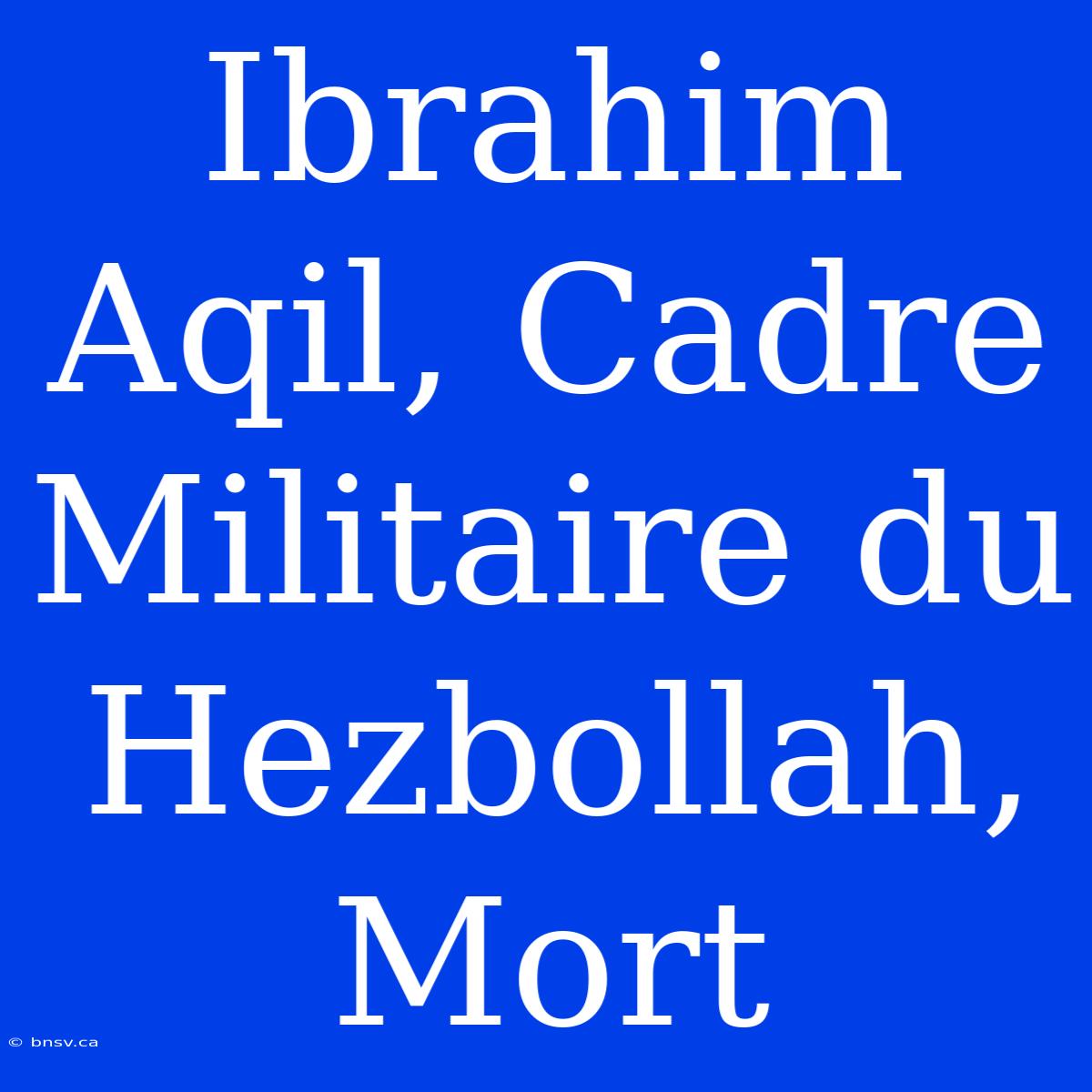 Ibrahim Aqil, Cadre Militaire Du Hezbollah, Mort