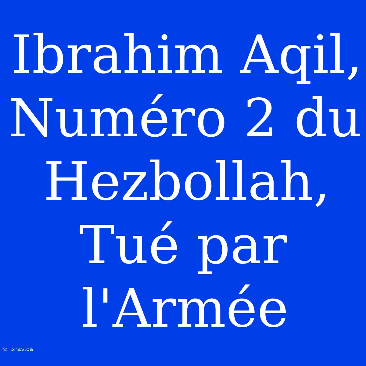 Ibrahim Aqil, Numéro 2 Du Hezbollah, Tué Par L'Armée